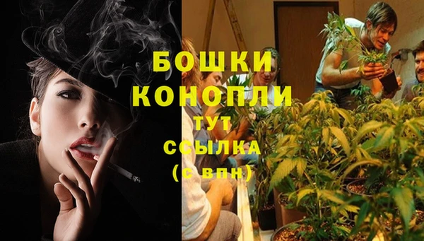 2c-b Балахна