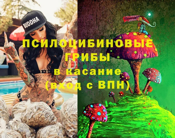 2c-b Балахна