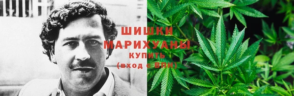 spice Балабаново